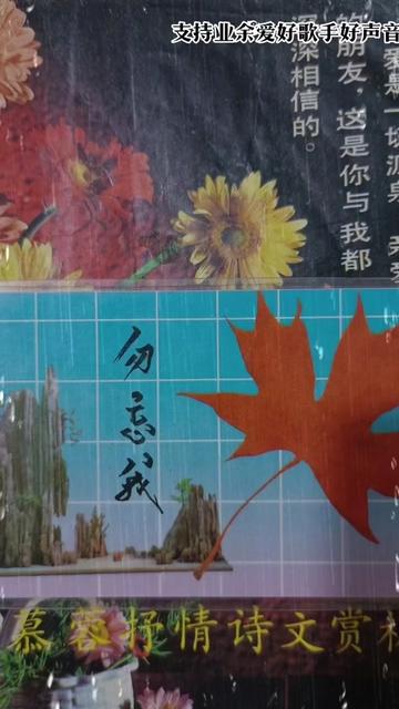 南溏一梦演唱歌曲(樱花泪) .