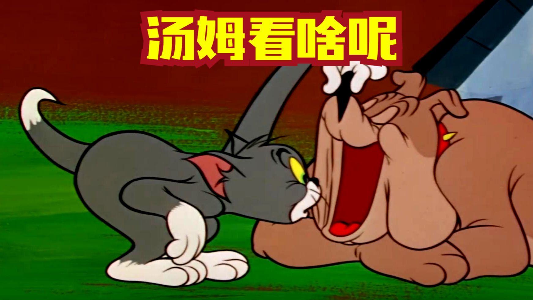 斯派克嘴里有啥呢