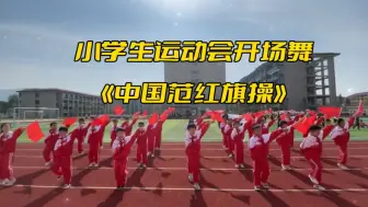 Download Video: 运动会小学生红色爱国主题开场舞器械操《中国范红旗操》春秋季开幕式舞蹈，少儿校园文化体育艺术节操场演出。小学生六一儿童节毕业典礼节目，元旦国庆新年表演。可全班集体