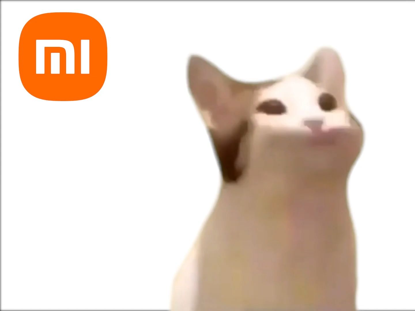 搜索引擎-磁力猫=磁力猫260破解版