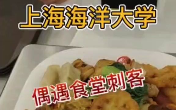 逛吃上海高校第一站—上海海洋大学哔哩哔哩bilibili