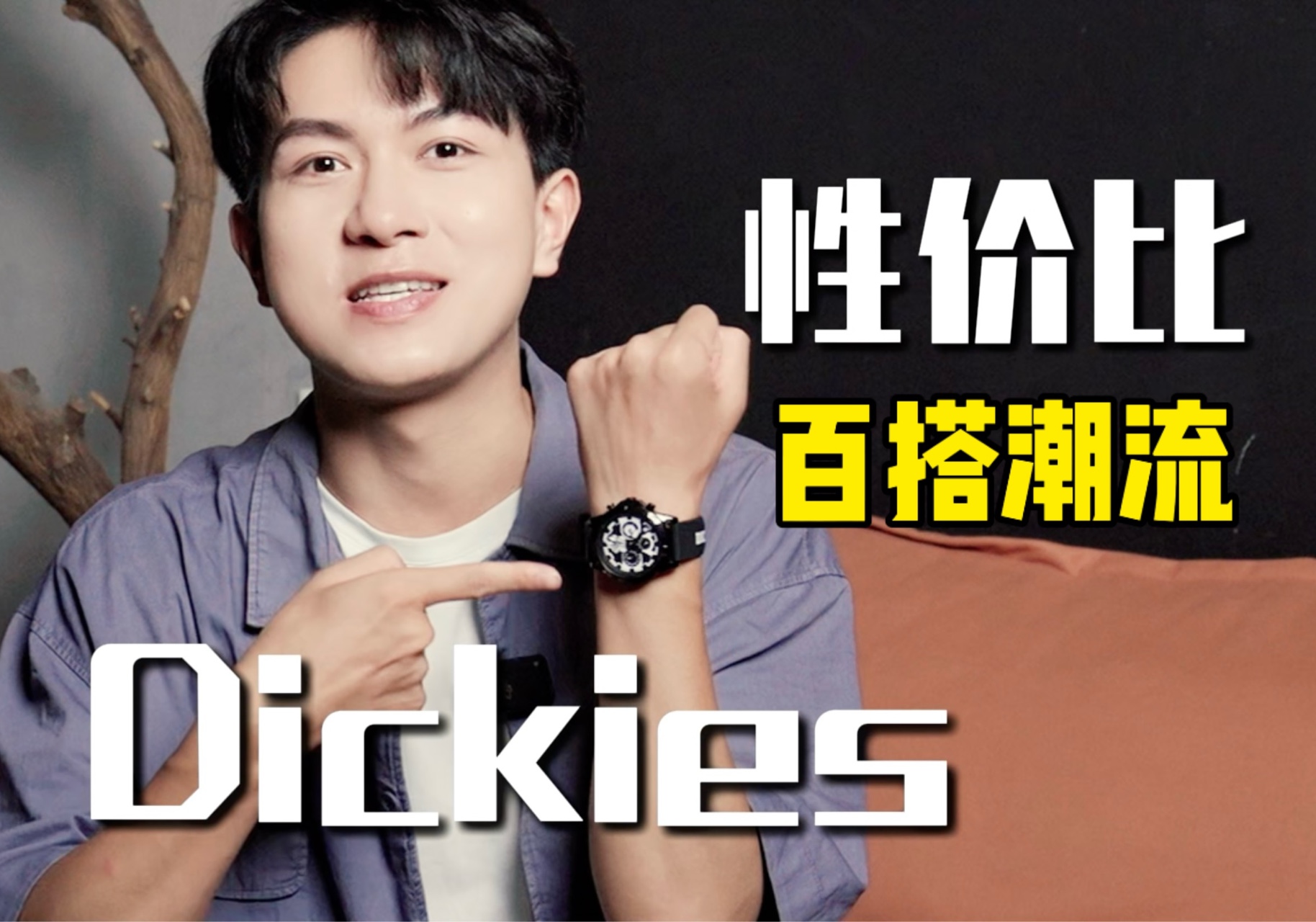 不是大劳戴不起,而是Dickies更有性价比!!!哔哩哔哩bilibili