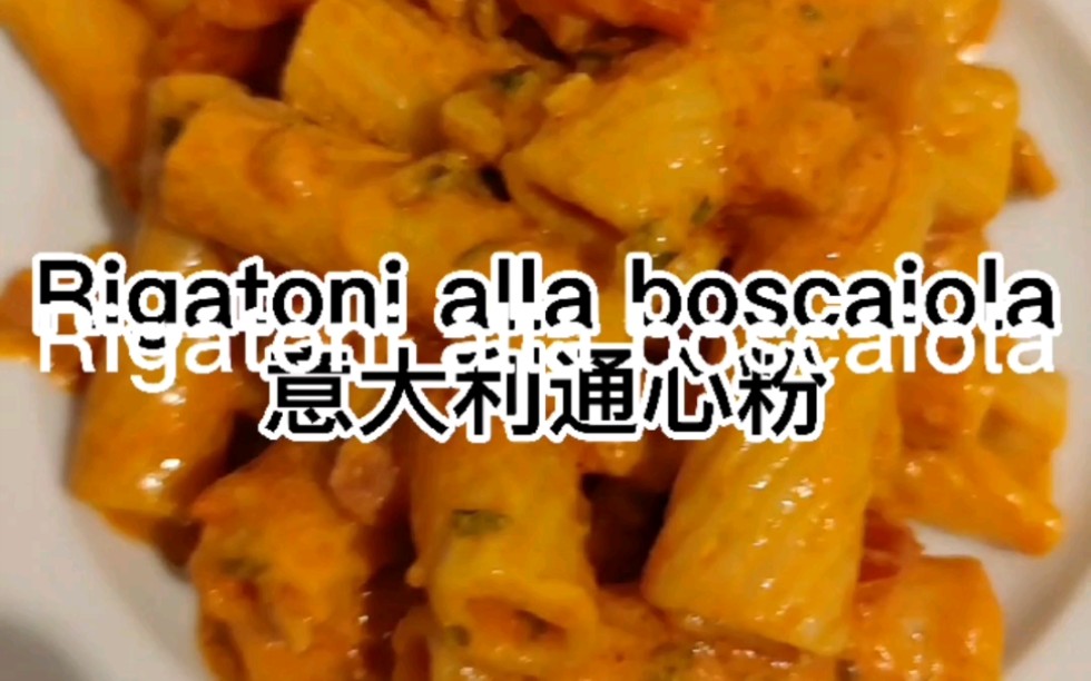 Rigatoni alla boscaiola意大利通心粉教程哔哩哔哩bilibili