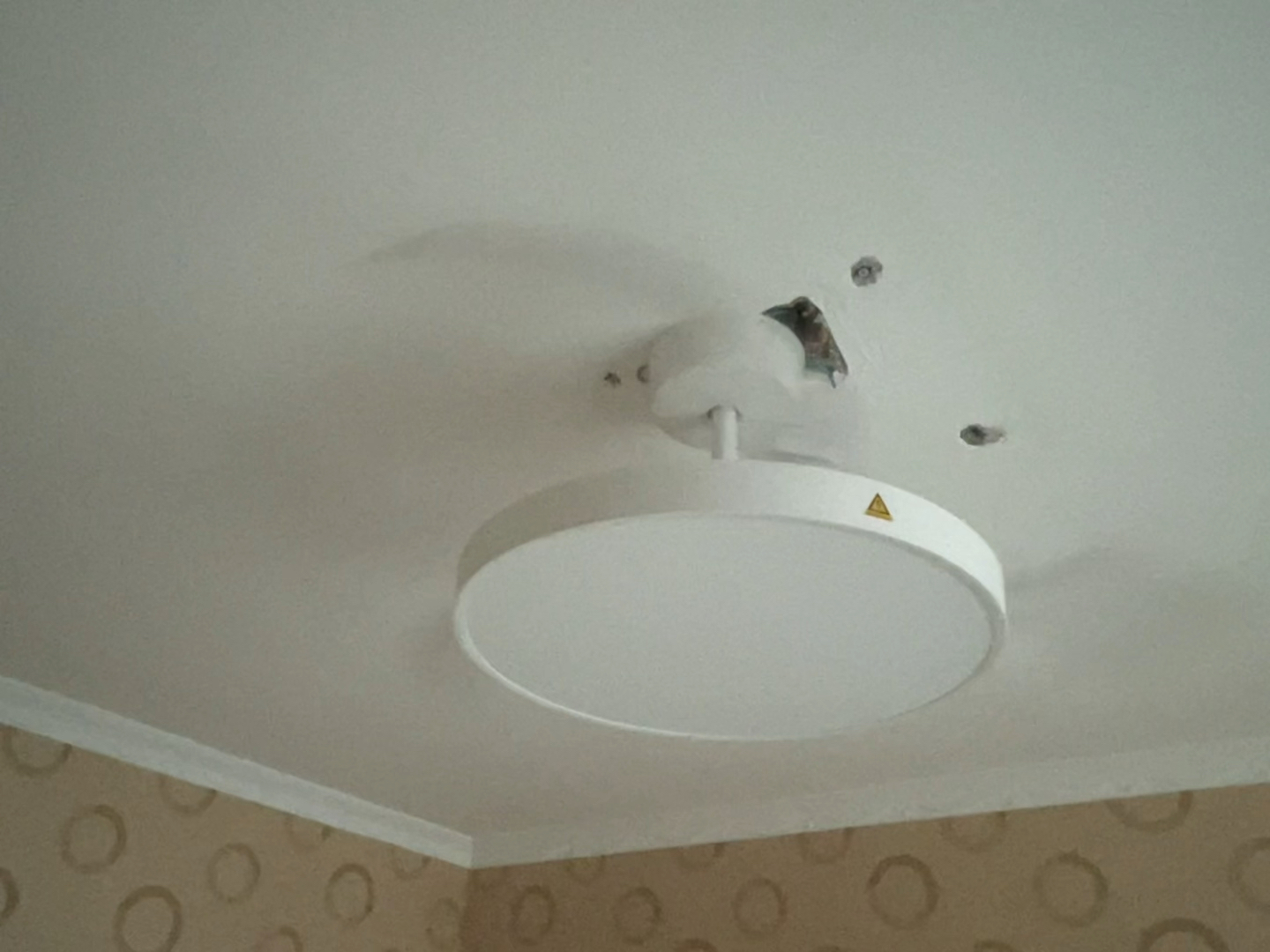 小米米家风扇灯42英寸售后无果