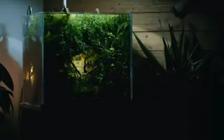 寺西景 搜索结果 哔哩哔哩 Bilibili