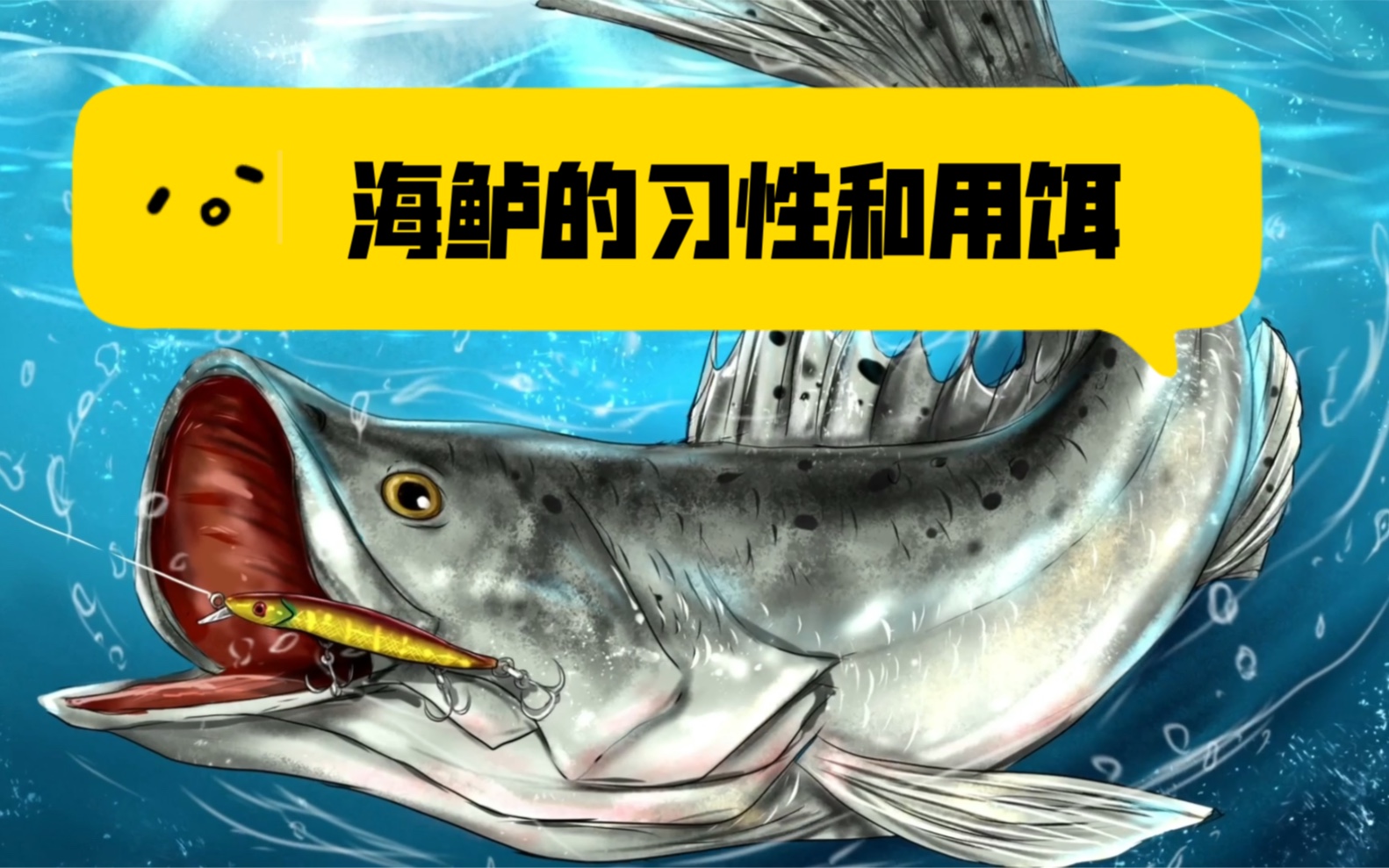 手绘路亚小知识no13:海鲈的习性和用饵