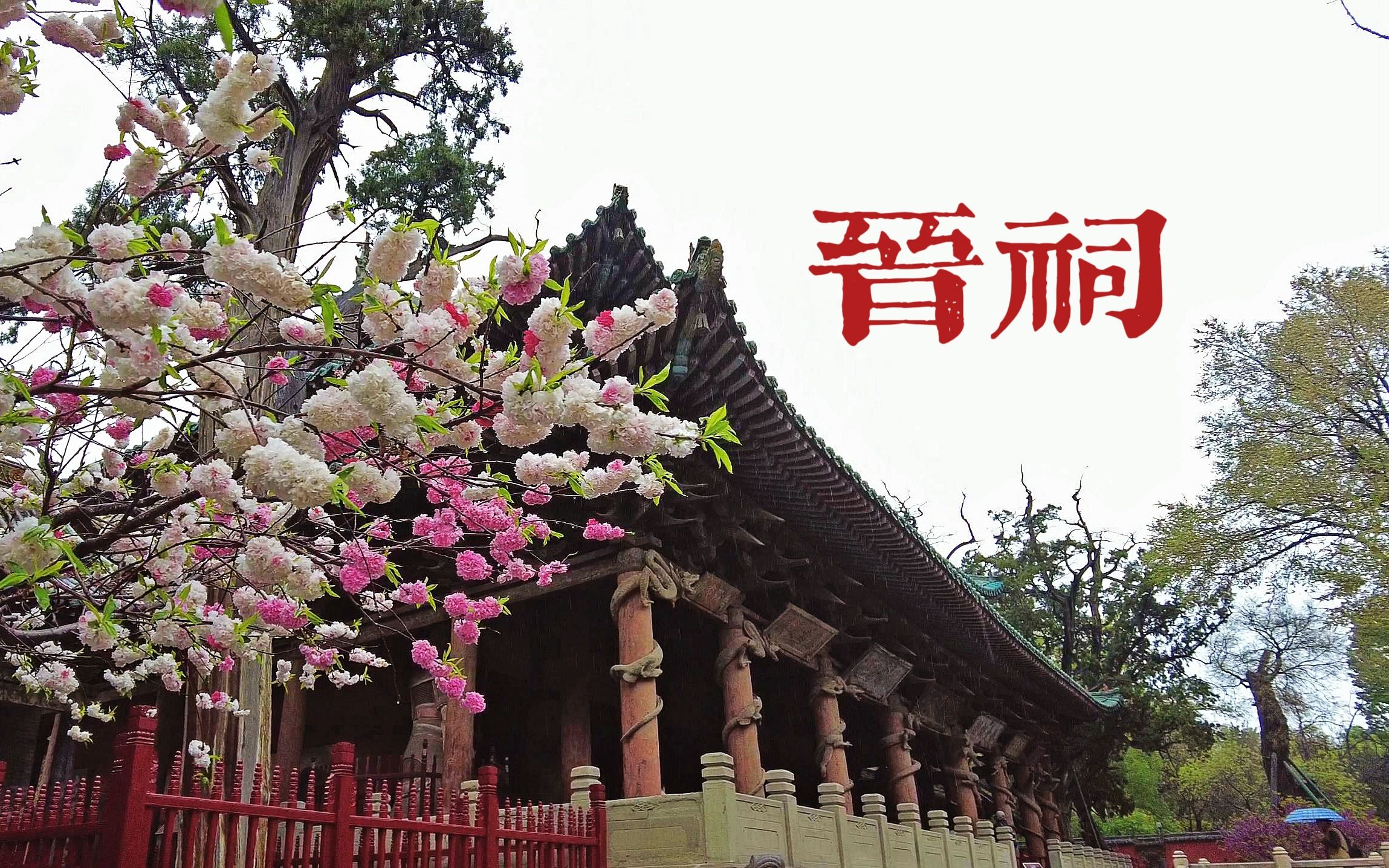 [图]雨中游晋祠，看三绝和三宝