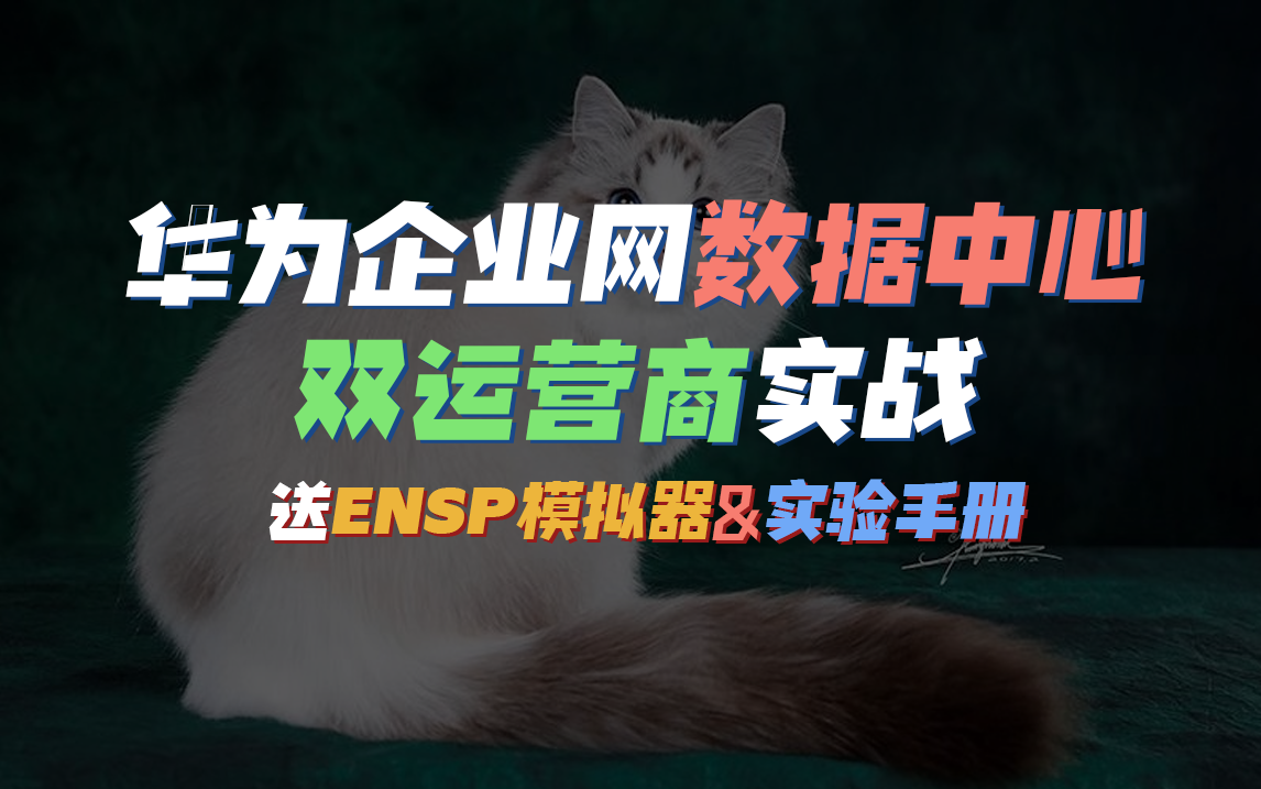 华为HCIE实战技术课程!企业网数据中心双运营商实战【送实验手册+模拟器】网络工程师CCIE/HCIP/HCIA/CCNP/HCIE/CCNA哔哩哔哩bilibili