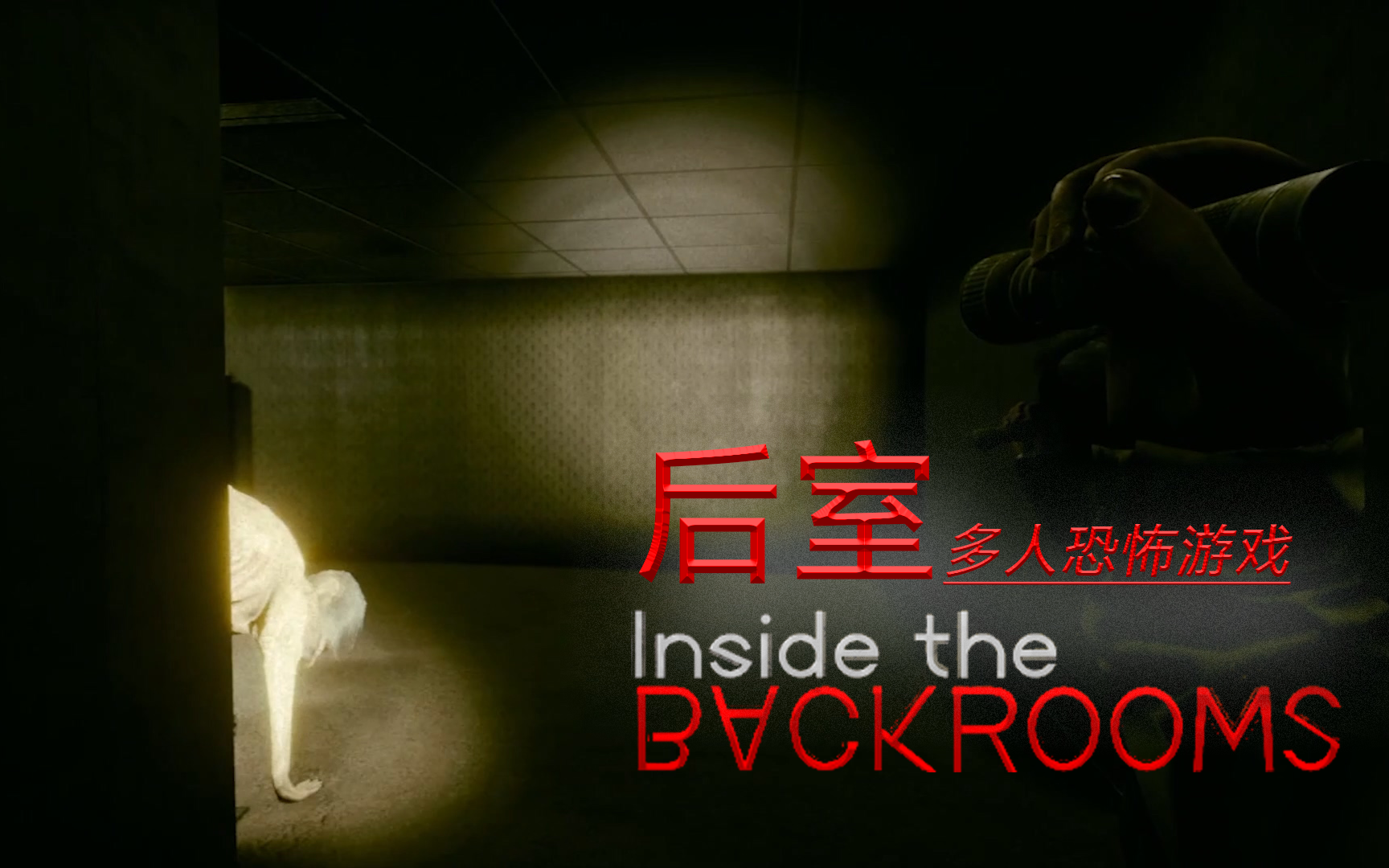 insidethebackrooms后室暗房这个游戏很好玩就是有点费心脏下辈子我