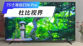 5N Pro-杜比视界，显示完美没问题