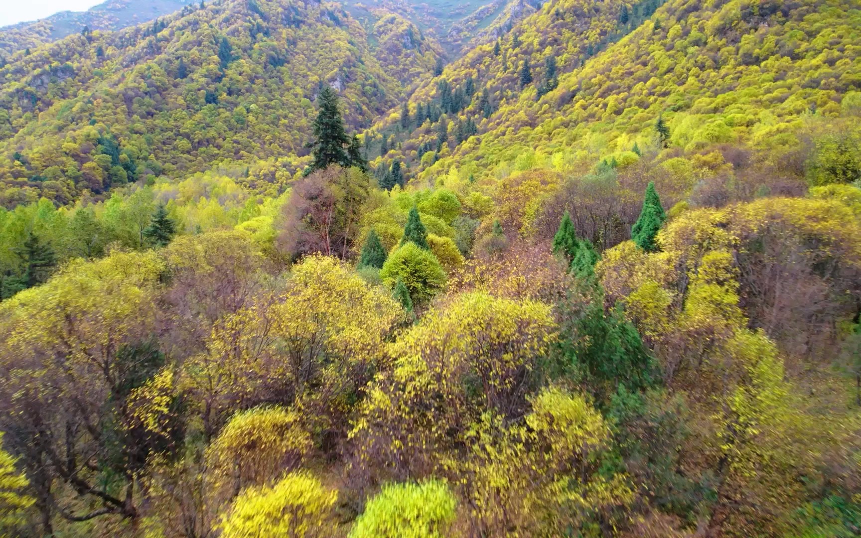 [图]山河不老，祖国常春，正值国庆佳节，今天就让我们用另一种方式，给祖国母亲庆生。82秒就让你爱上她的诗和远方，我在家乡大美青海，祝愿我们的祖国永远繁荣昌盛！