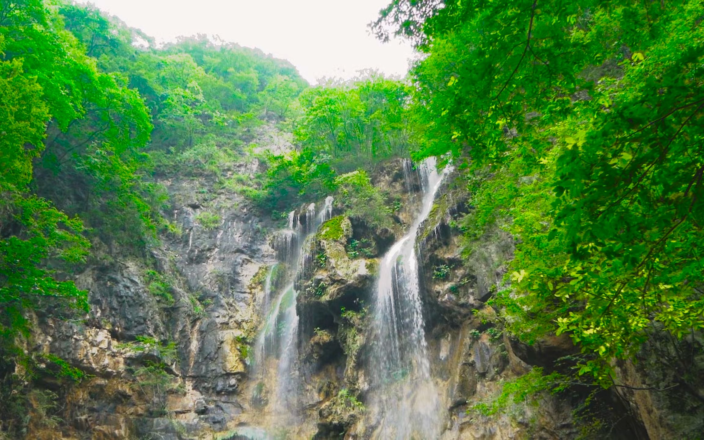 [图]栾川·王府竹海——一个遗落在群山之间的山水秘境，假期出行的好去处，有山有水有花有树