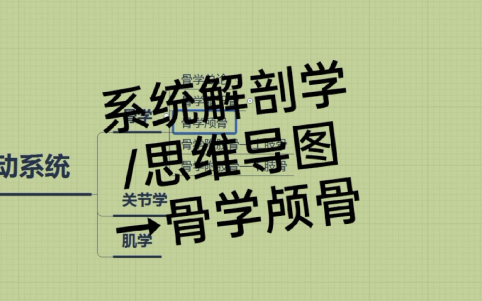 【系统解剖学笔记】骨学颅骨→系统解剖学/霍琨老师/思维导图哔哩哔哩bilibili