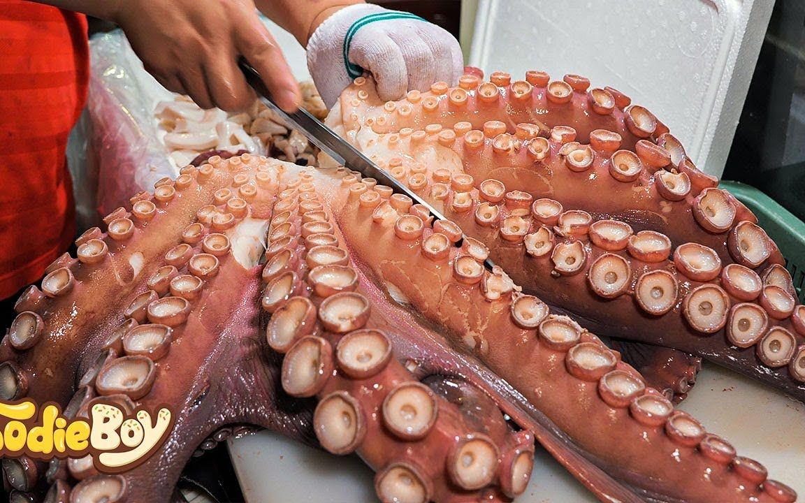 34斤巨型章鱼!韩国海鲜市场现杀,太可怕了装箱送货.