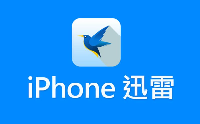 最新iPhone上安装迅雷方法,下载神器值得收藏哔哩哔哩bilibili