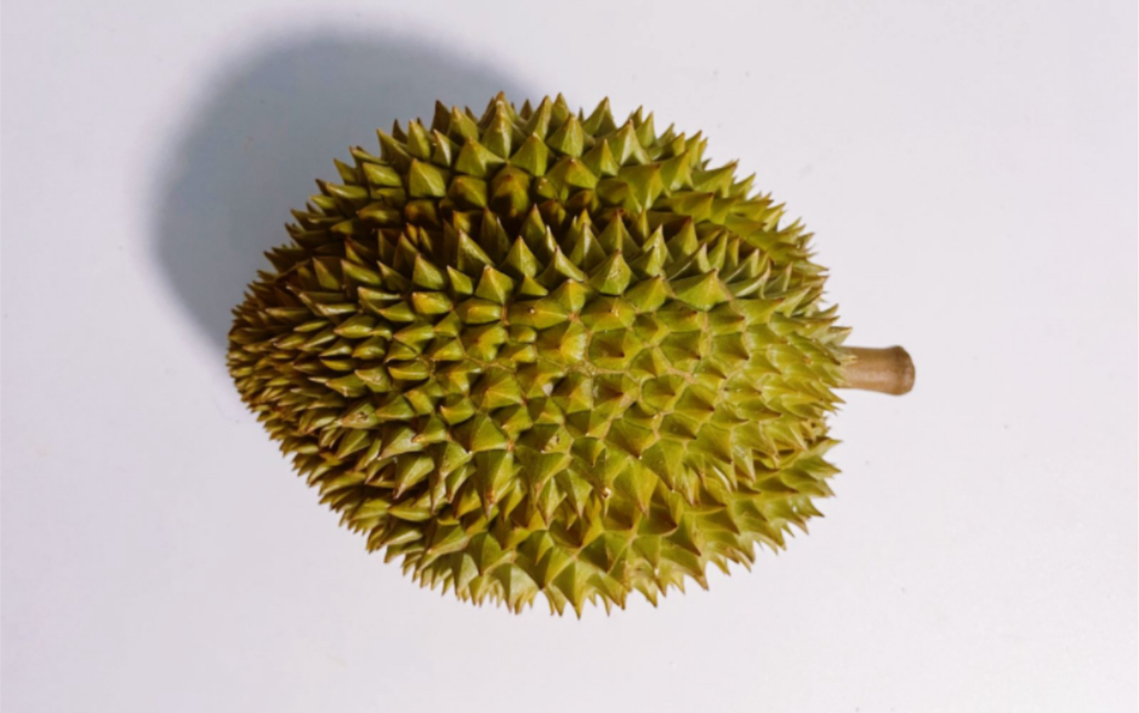 131 | 尖竹汶10号(山大武里)]尖竹汶10号,拯救一下近期霉运.