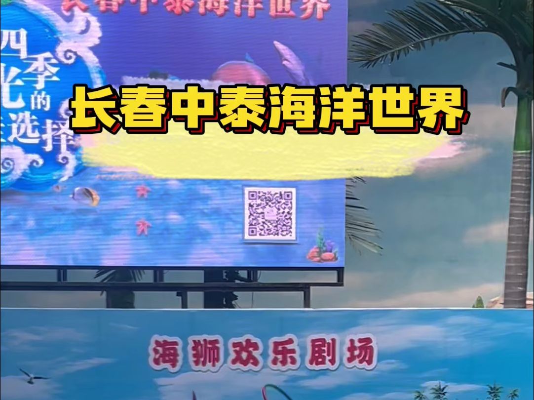 呆萌小海狮闪亮登场!