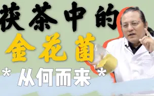 Download Video: 茯茶中的金花菌从何而来？