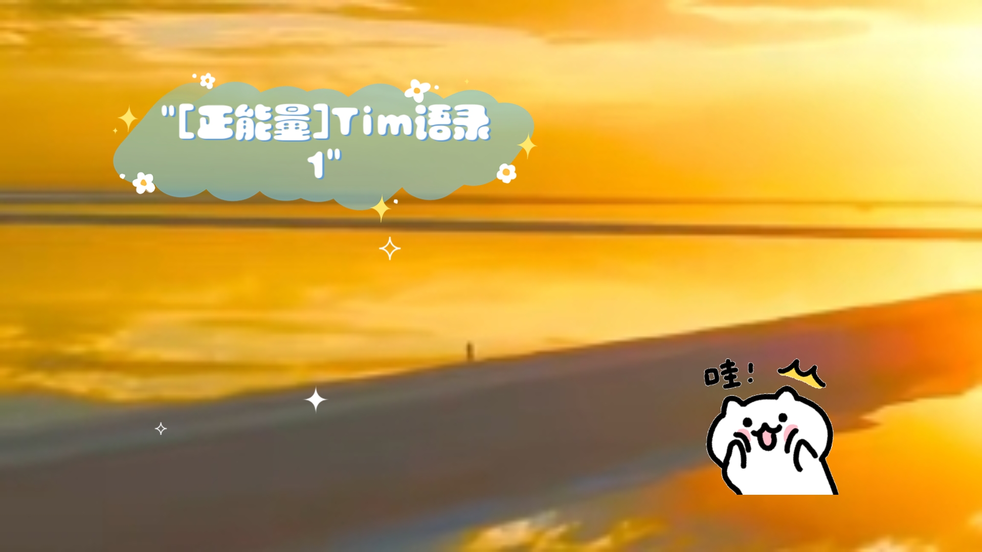 [正能量]Tim语录1哔哩哔哩bilibili