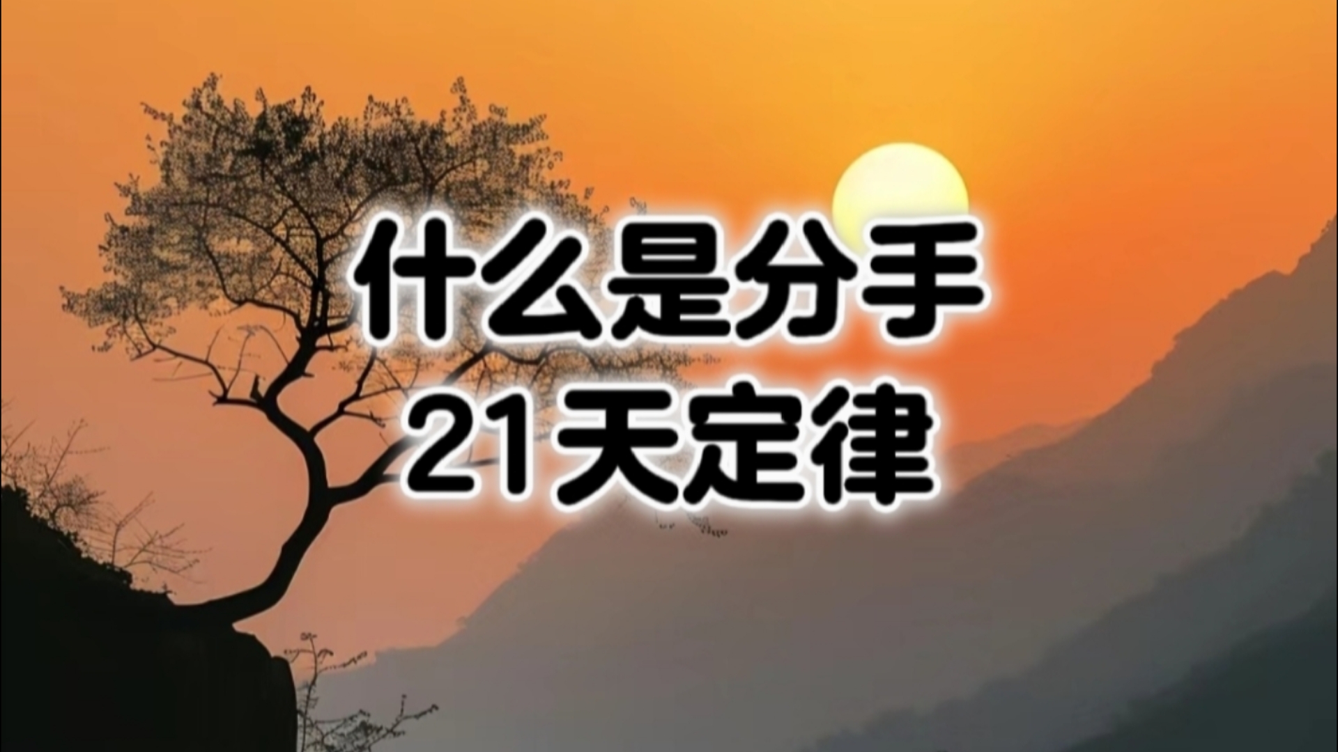 21天定律哔哩哔哩bilibili