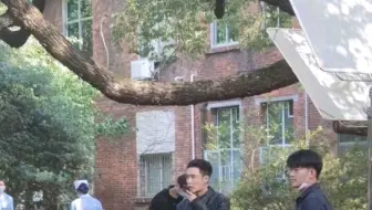 Ysl家最保值的包包 你知道是哪个吗 哔哩哔哩 Bilibili