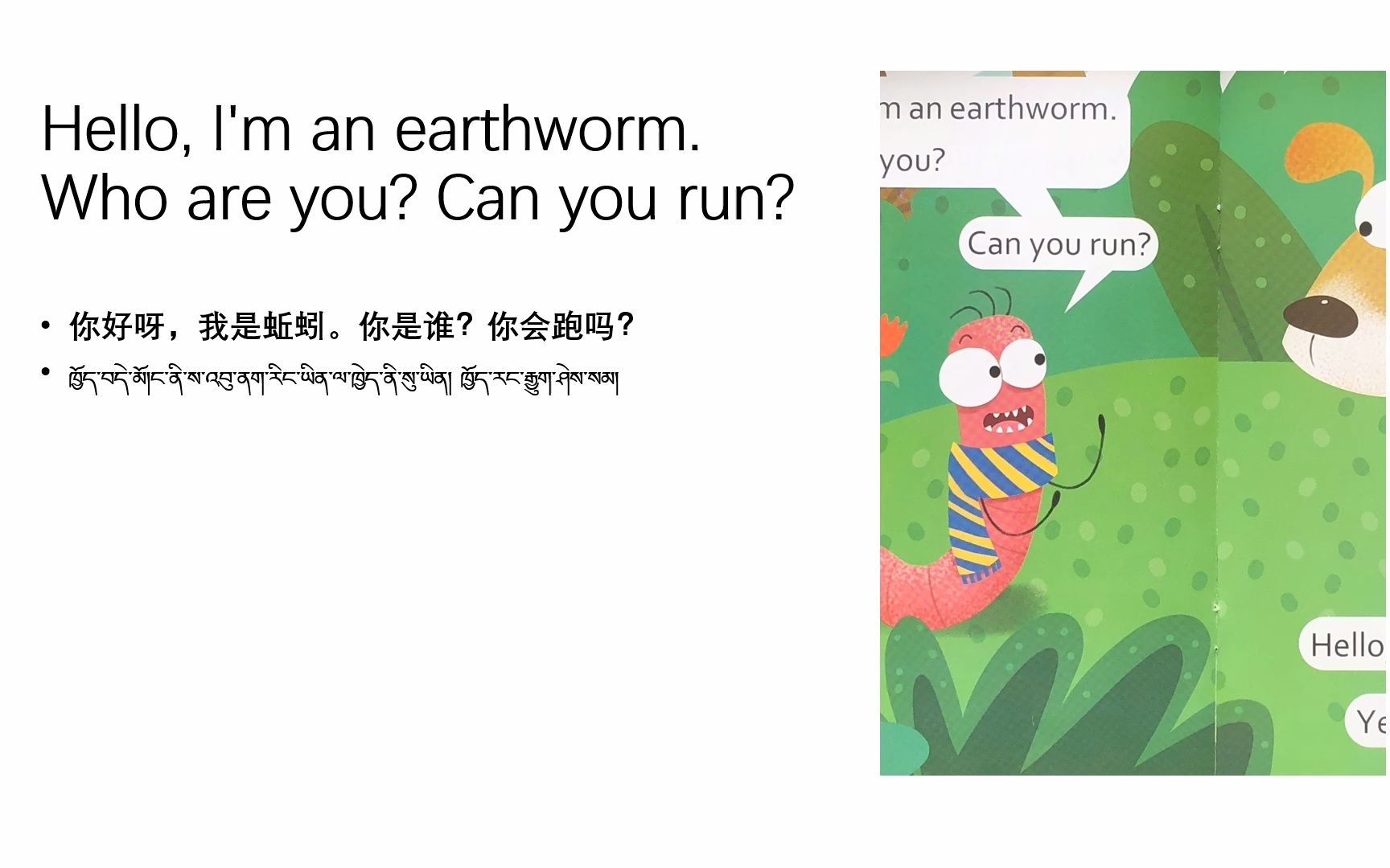 [图]Animals' Abilities 动物的本领