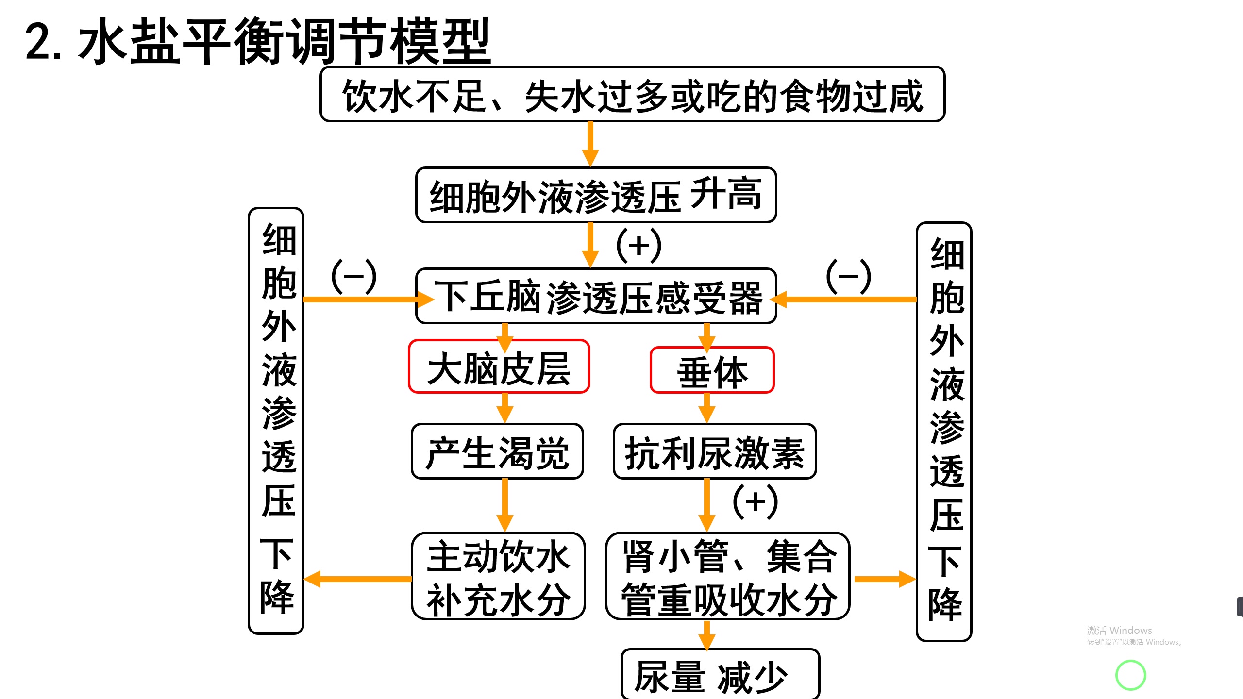 水盐平衡_哔哩哔哩_bilibili