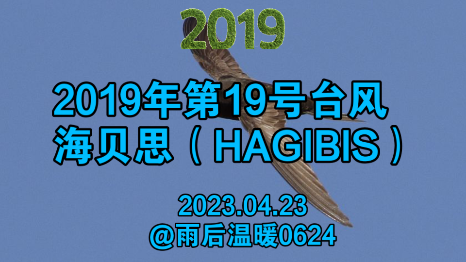 2019年第19号台风 海贝斯 (HAGIBIS)哔哩哔哩bilibili