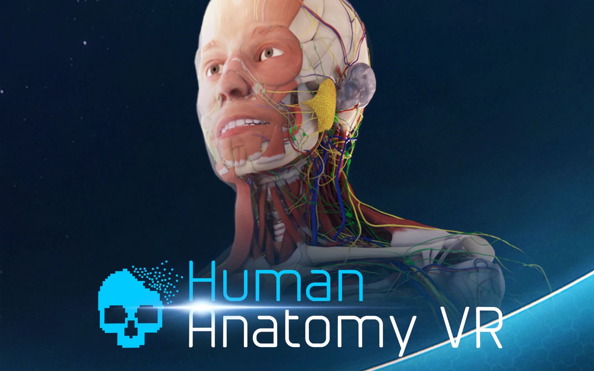 [图]VR解剖平台《Human Anatomy VR 2022》现已支持Quest2