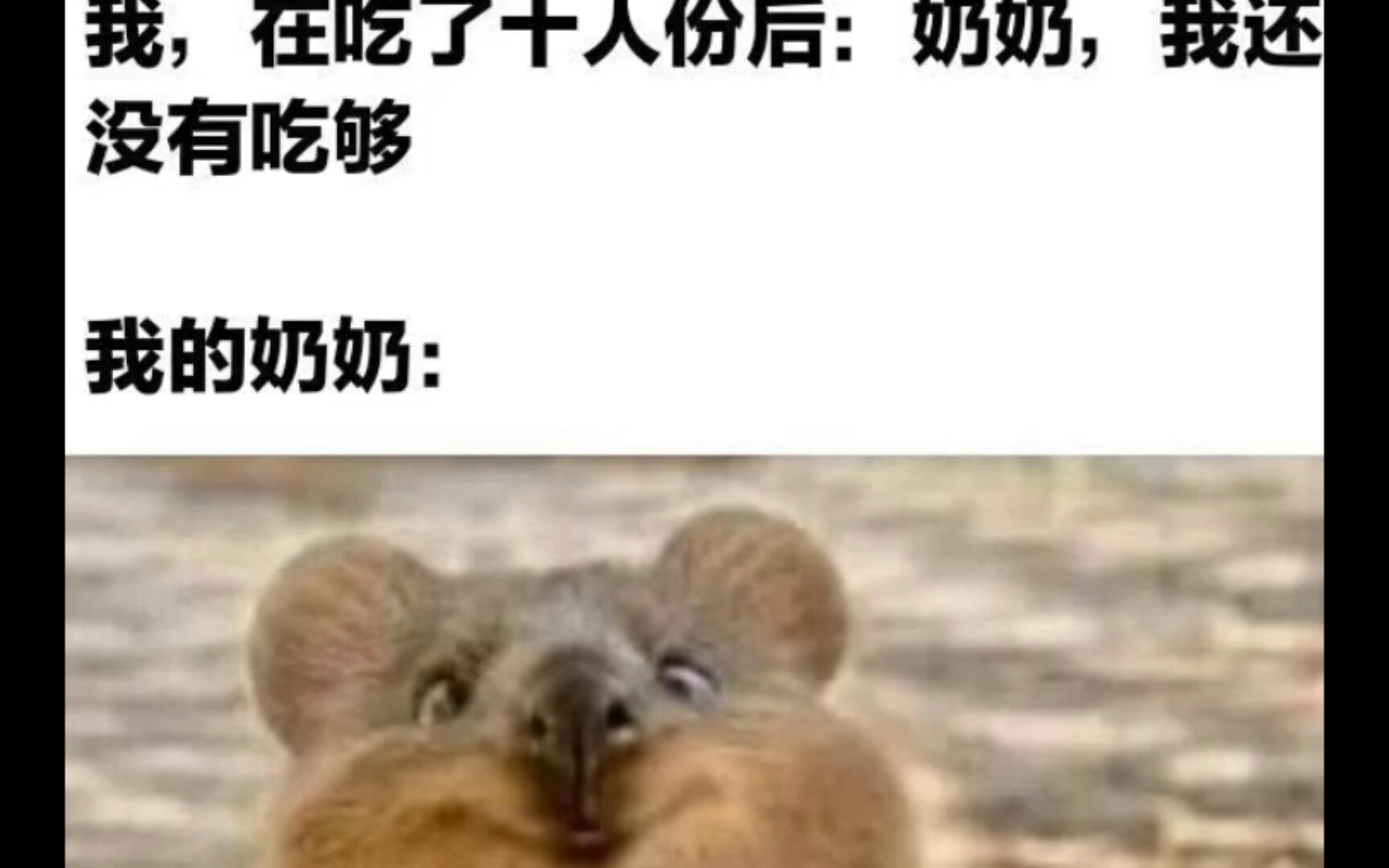 人间真实系列沙雕梗图