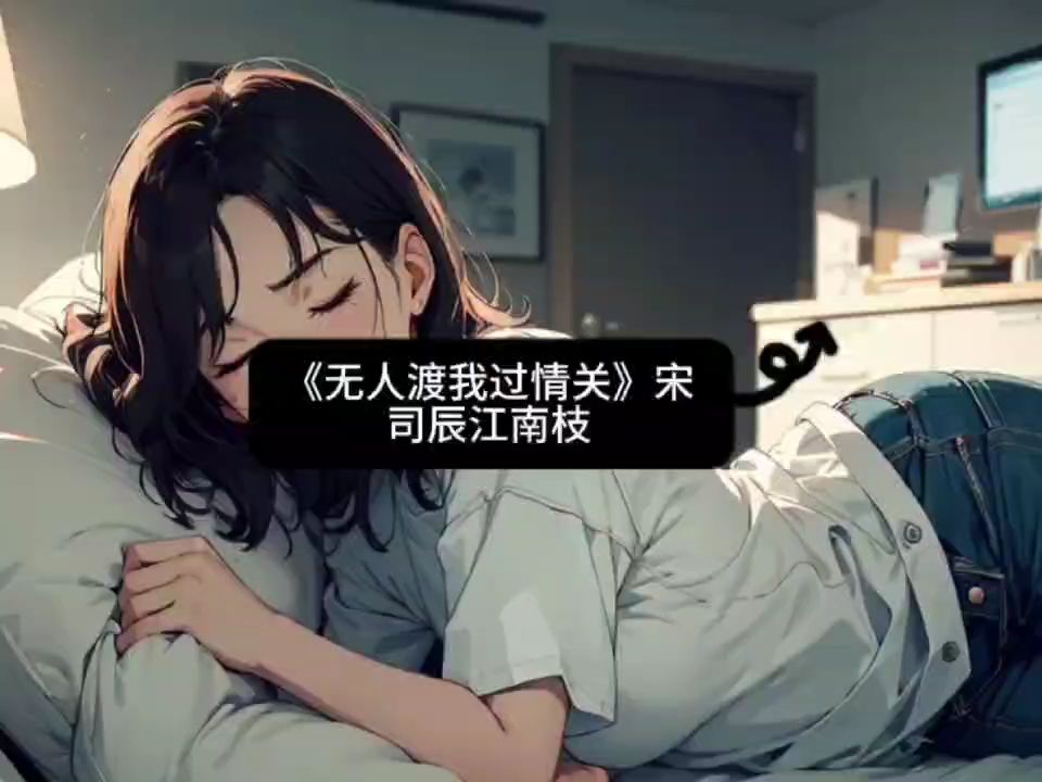 一口气读完《无人渡我过情关》宋司辰江南枝