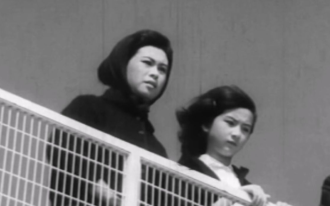 剧情/粤语 大家姐 (1964)哔哩哔哩bilibili