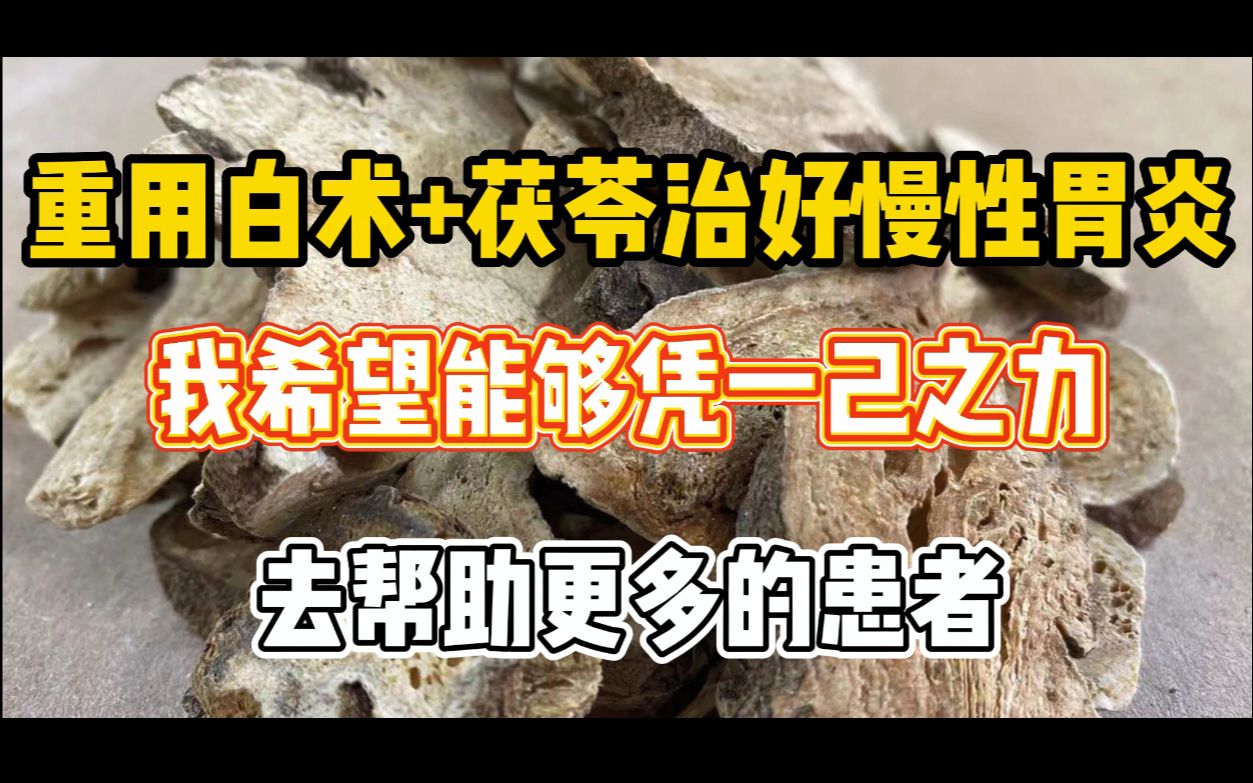 重用白术与茯苓解决慢性胃炎,我希望能凭一己之力,帮助更多患者哔哩哔哩bilibili