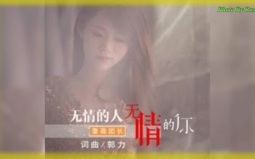 【无情的人无情的你】演唱 :蔷薇团长哔哩哔哩bilibili