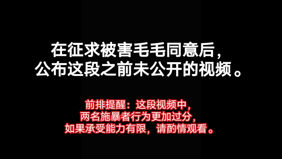 [图]南宁漫展毛毛被打一事，隐藏视频公布