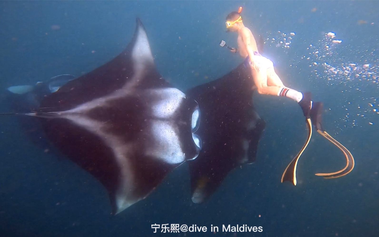 [图]在Dharavandhoo岛与Manta（远洋蝠鲼）同游