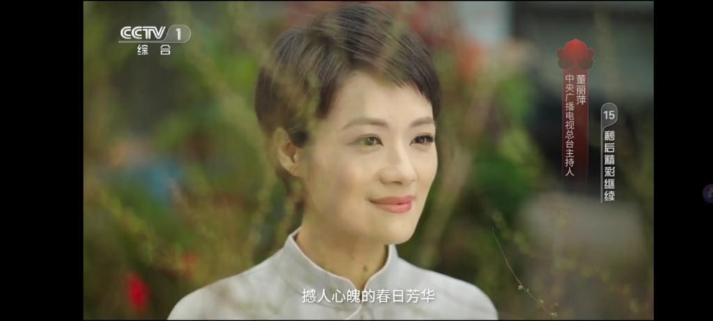 央视公益广告:天地有节 风雅中华