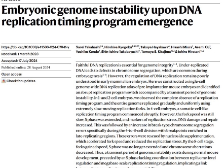 CNS速递:胚胎发育早期的复制压力哔哩哔哩bilibili