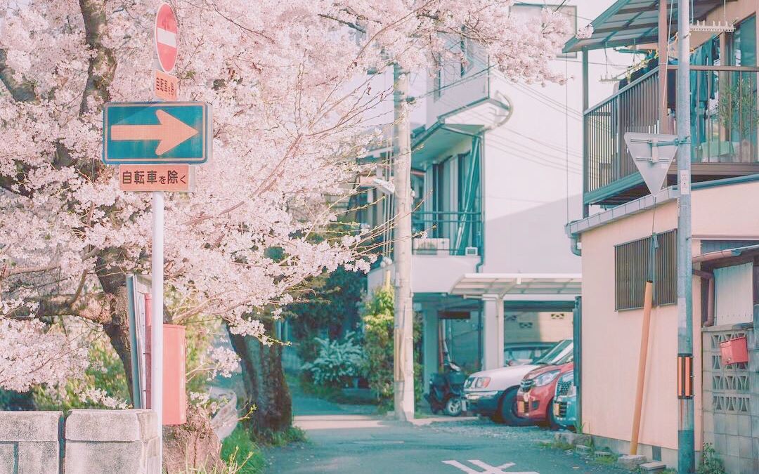 [翼之声]高能预告一