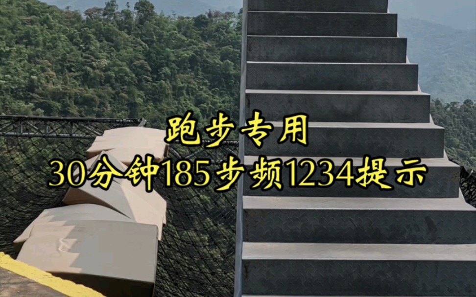 跑步专用30分钟185步频1234提示哔哩哔哩bilibili