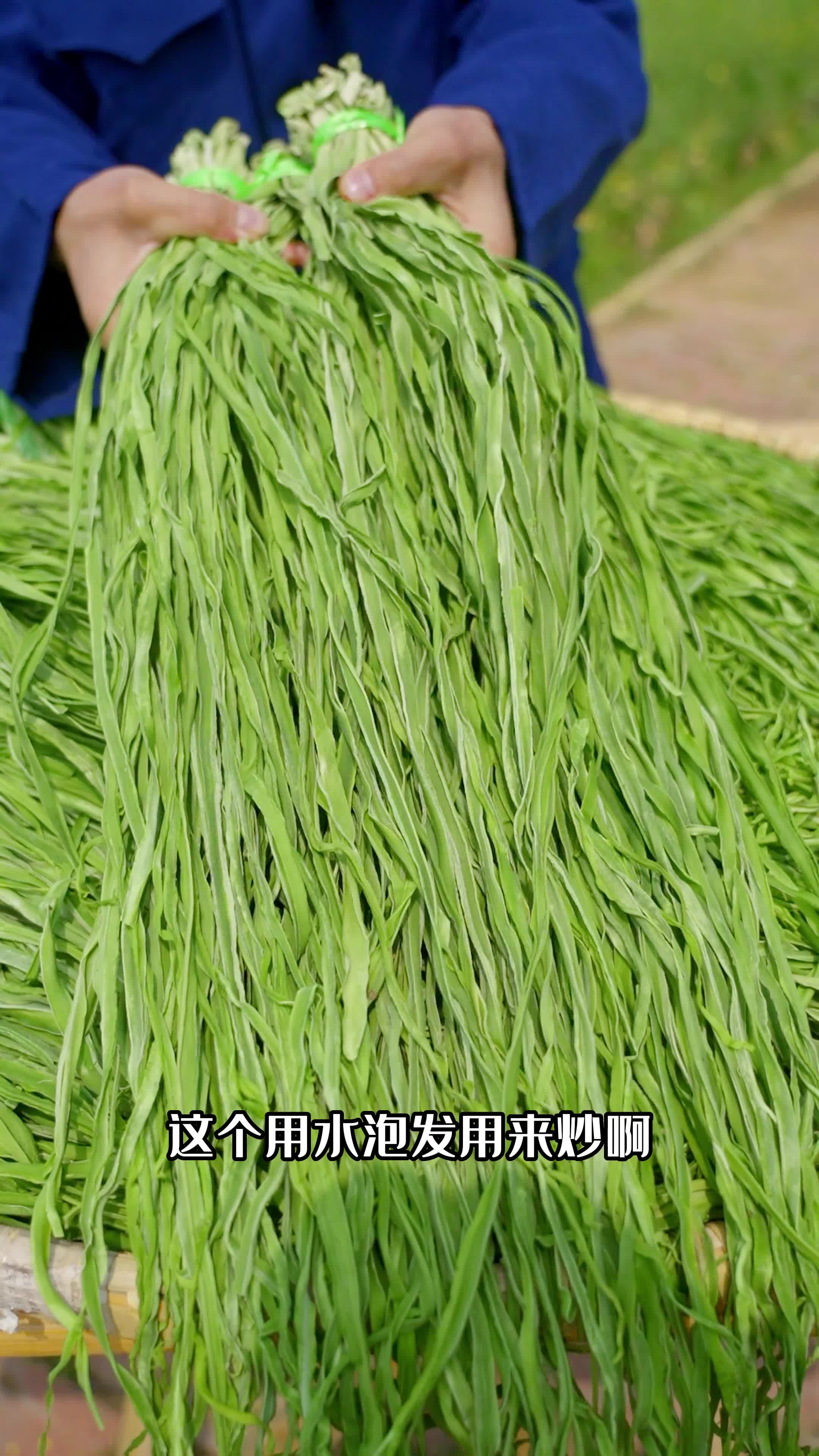 今年的新贡菜,纯手工制作的,嘎嘣嘎嘣脆哦