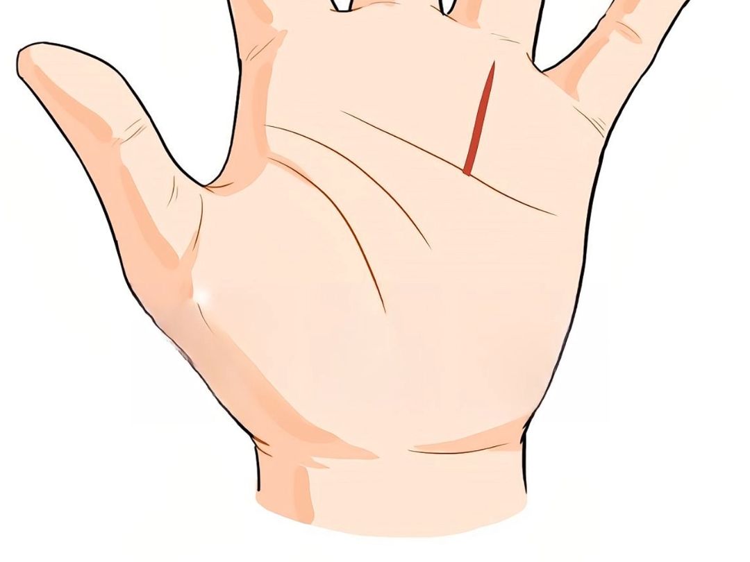 3种成功人士的手纹