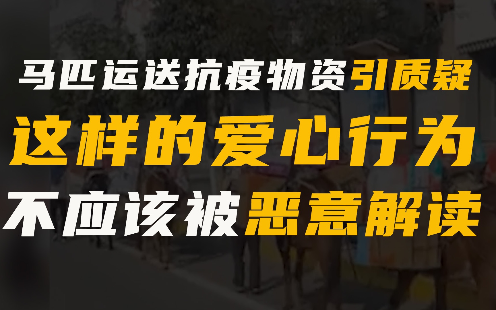 马匹运送抗疫物资引质疑,这样的爱心行为不应该被恶意解读哔哩哔哩bilibili