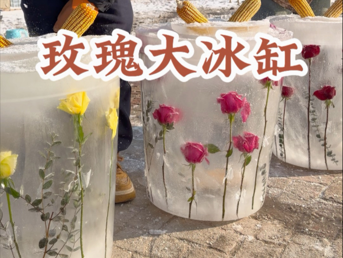 东北一年一度做冰缸