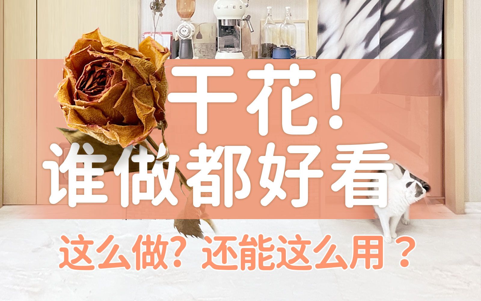 用途超多的干花!好看!有手就会!哔哩哔哩bilibili