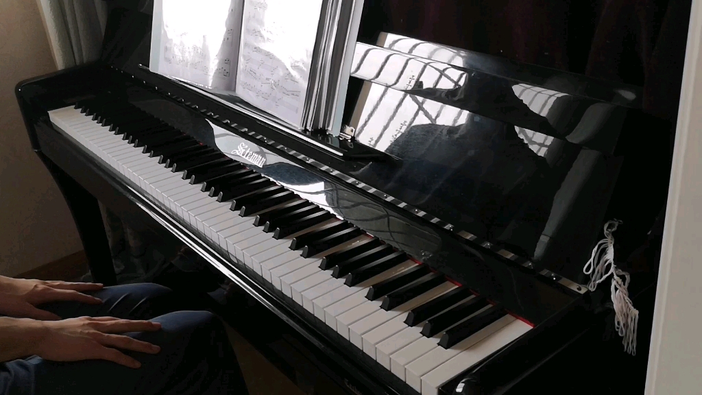 【钢琴】euterpe 《罪恶王冠》插曲(翻弹a叔版本)