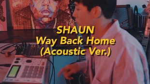 Shaun Way Back Home 日本語字幕付き動画 哔哩哔哩 つロ干杯 Bilibili