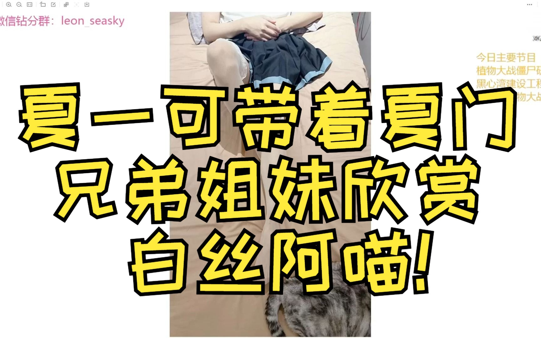 夏一可带着夏门兄弟姐妹欣赏白丝阿喵!