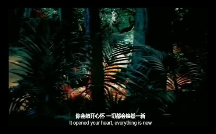 [图]#音乐安利大赏,-《Amarantine》永恒1