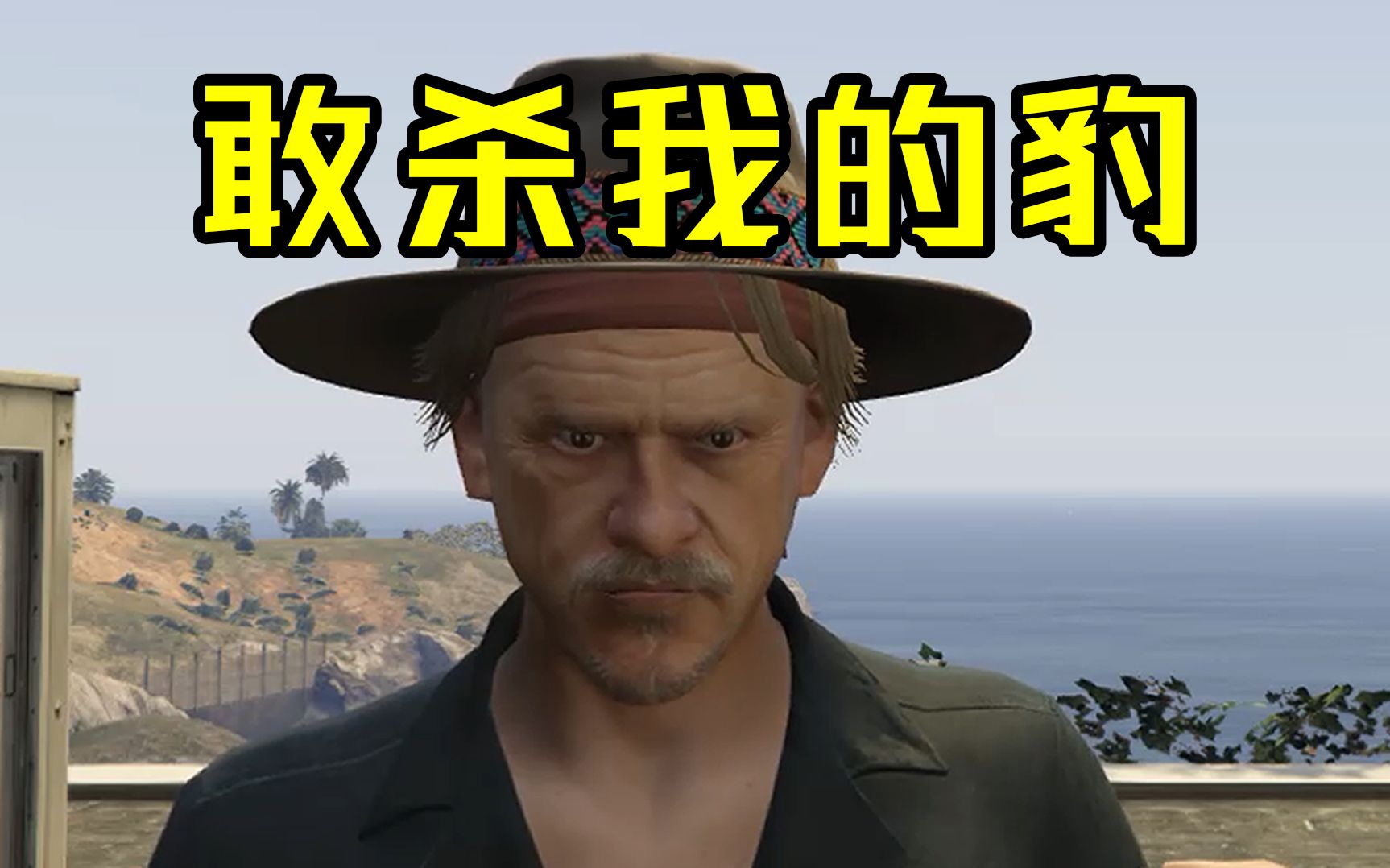 [图]【GTAOL整活】金发老大：敢 杀 我 的 豹 ！